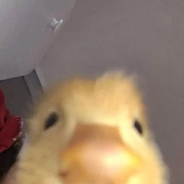 안녕하세요