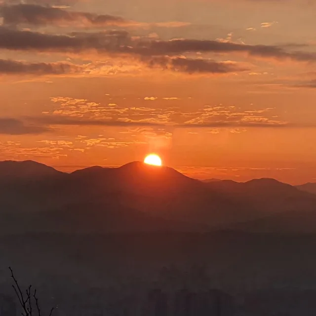 텀블러