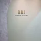 비앤아이