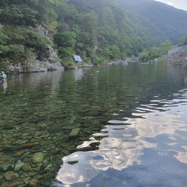 로즈짱