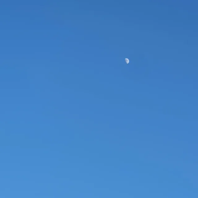 조랭이
