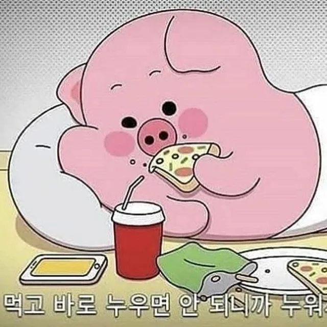 이사정리