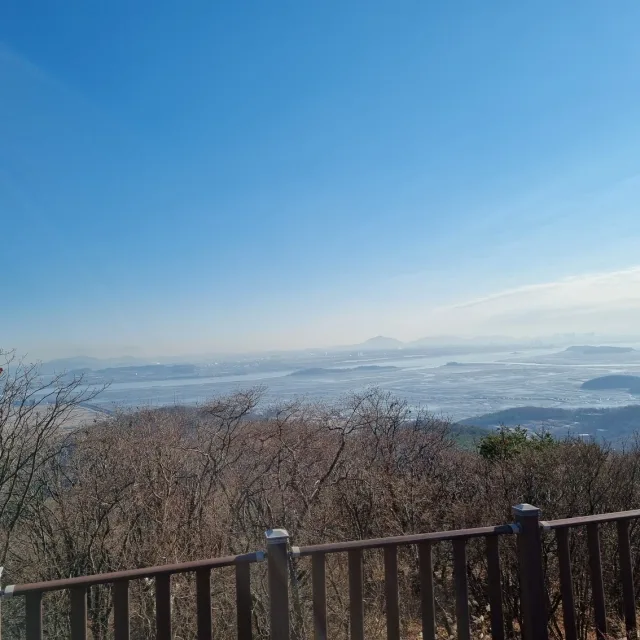 당근자본주의