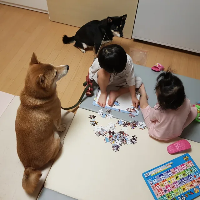 소소