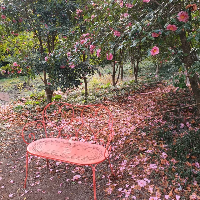 당근이지