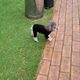튼튼이아부지