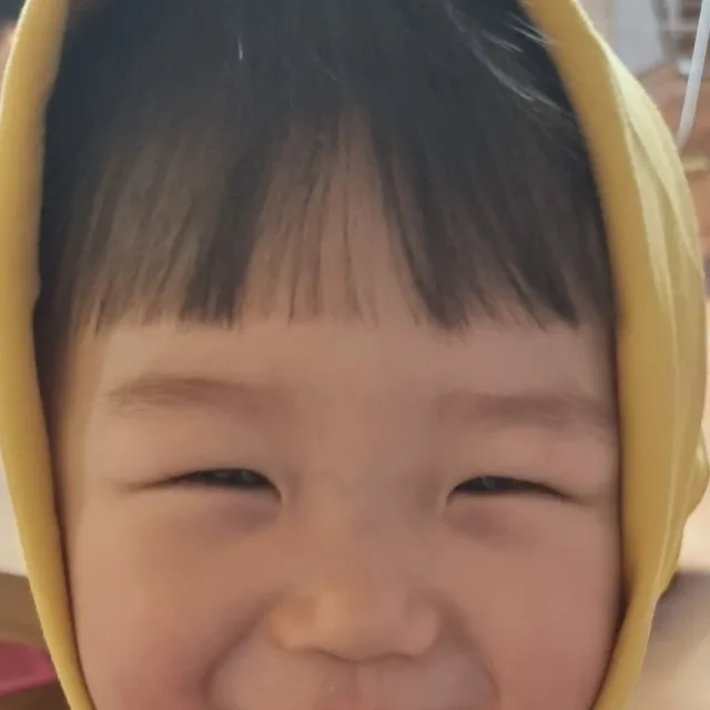 세재태주니