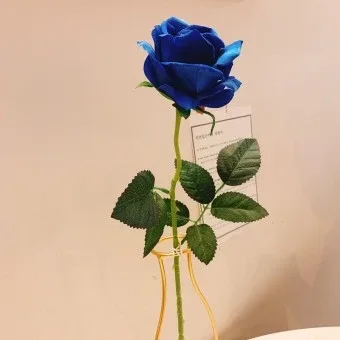 감사