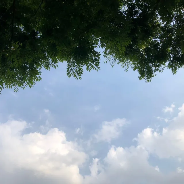 가나다