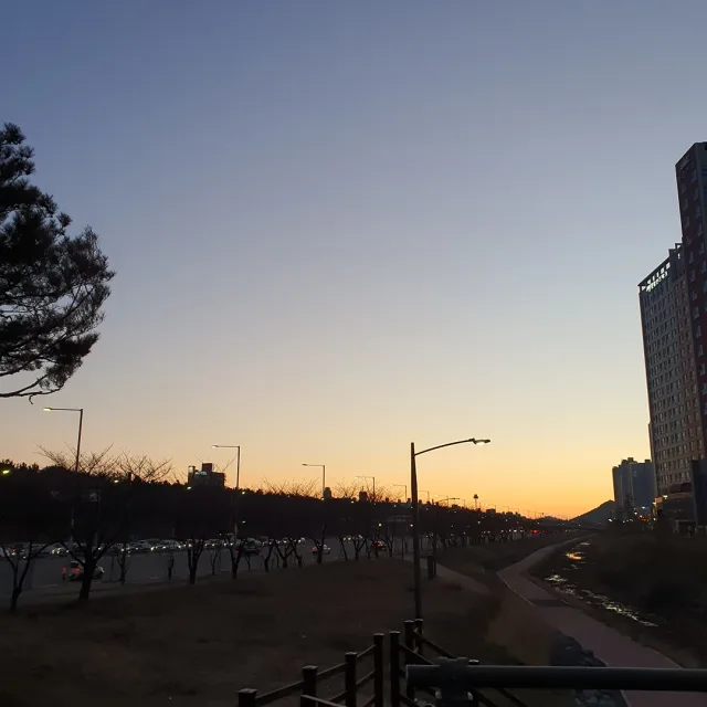 고므도리