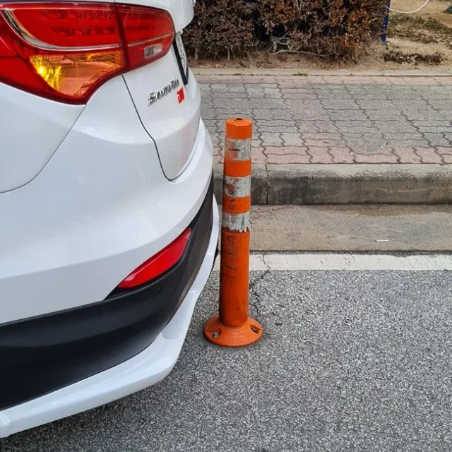 진실장님