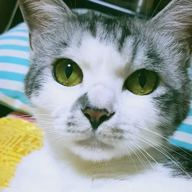 당근초보