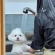 다혜가다해드림