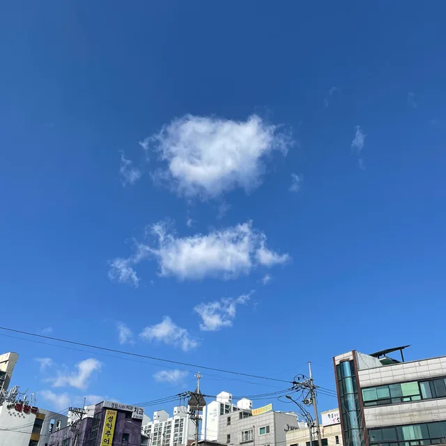 당근땅근