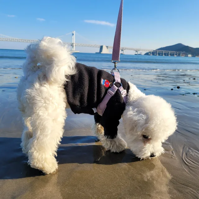 전구맨