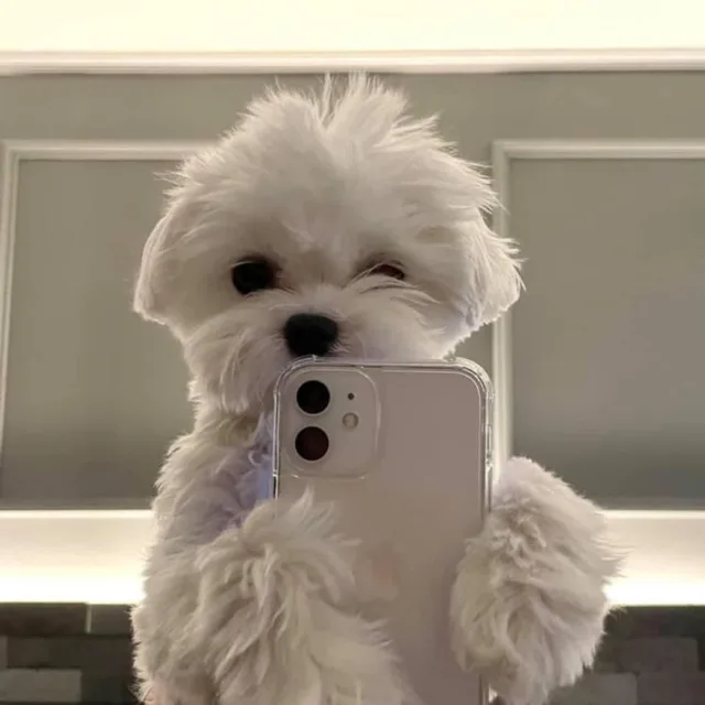 9월18일
