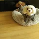 사랑이별이