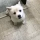 스근