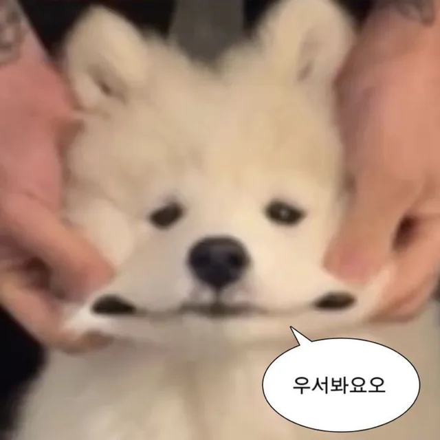옆집개이름