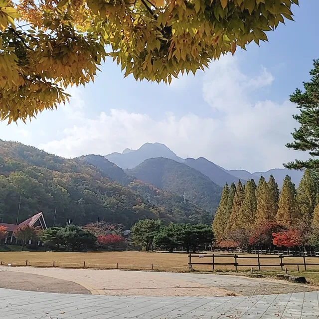 무시