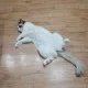 유야네