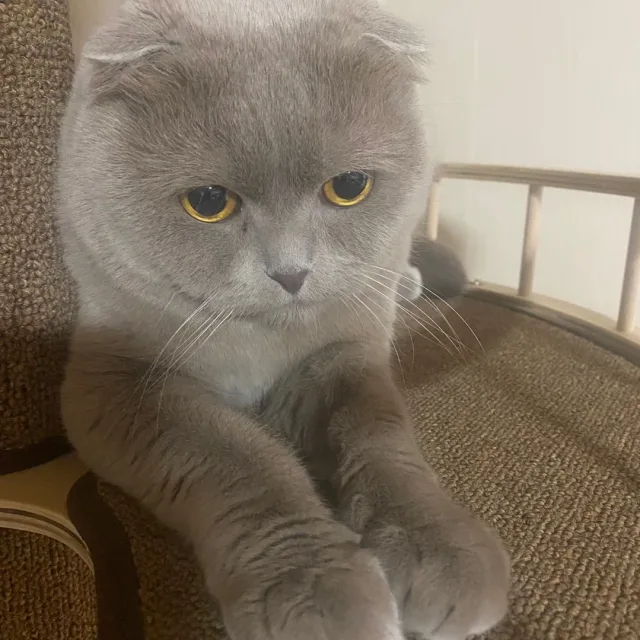 멍이