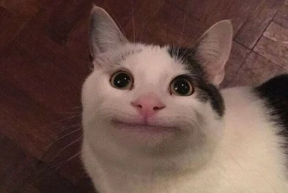 냐미냐미캣