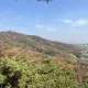 푸리링