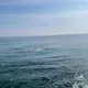 오현