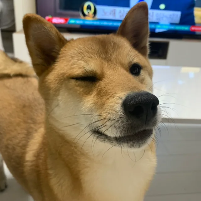 율짱