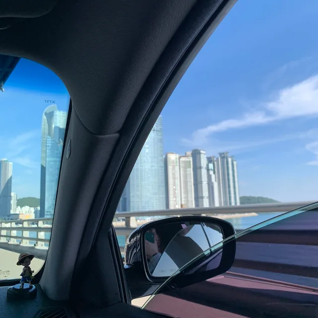 뽀뇨