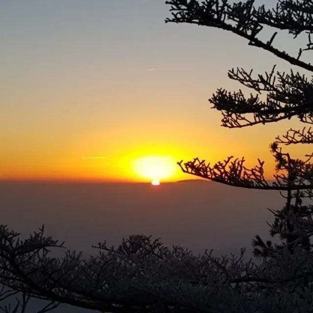 좋은생각