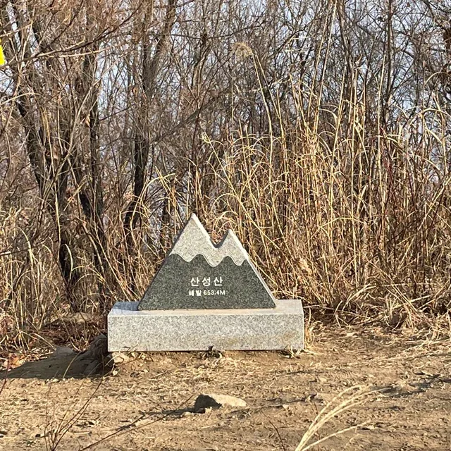 파동청춘