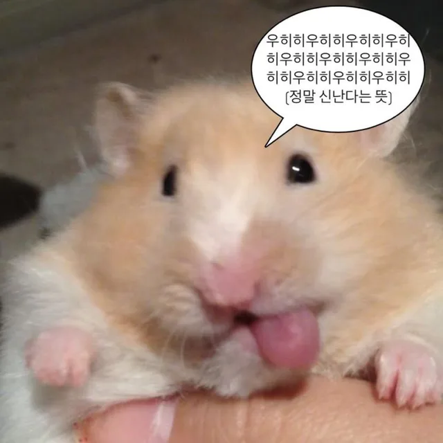 당그니그니