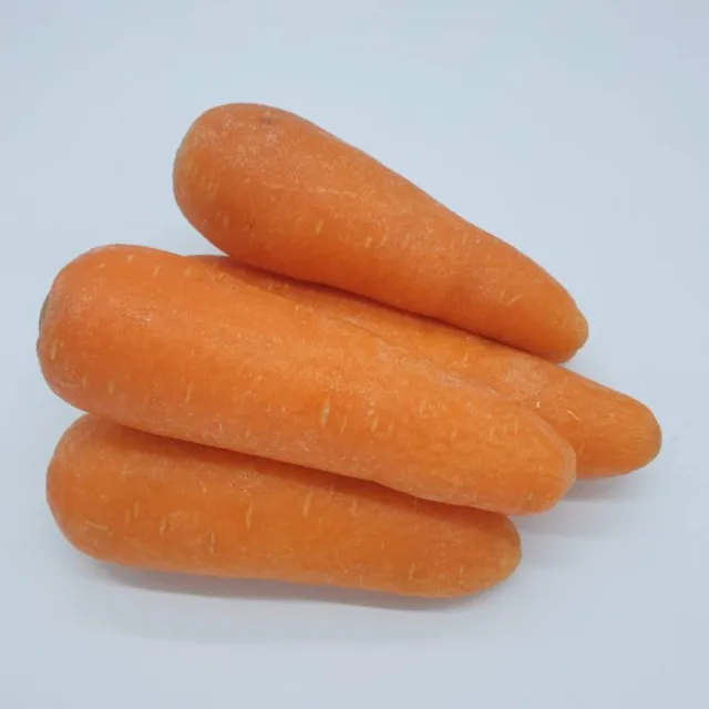 팅커벨