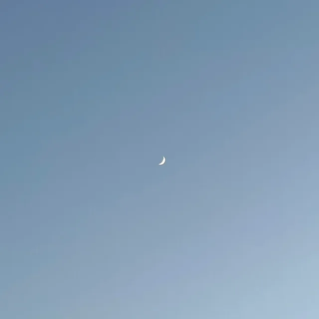 닉네임