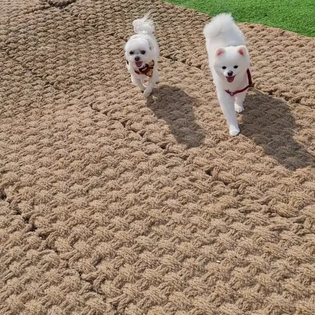 복덩이엄마