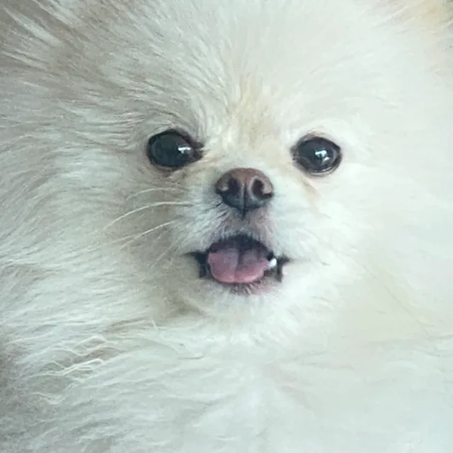 나봉289