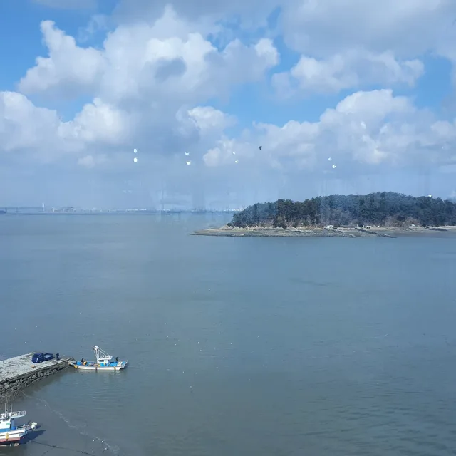 사루비아