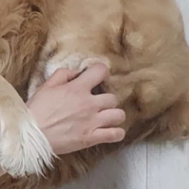 봄봄봄
