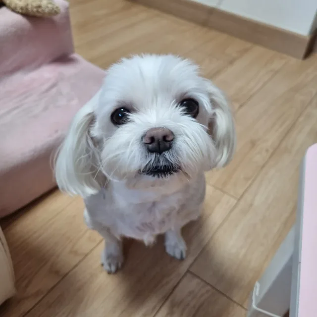 마리네집