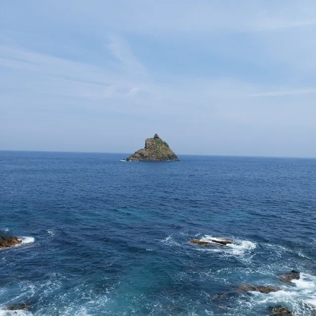 리블랙