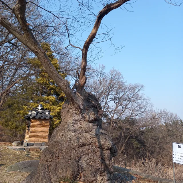 숲길