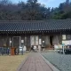 민도리파파