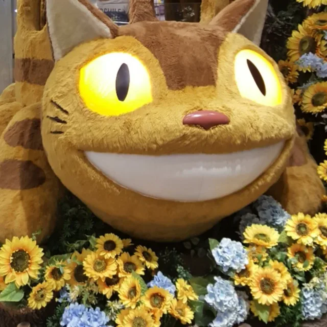 로이맘
