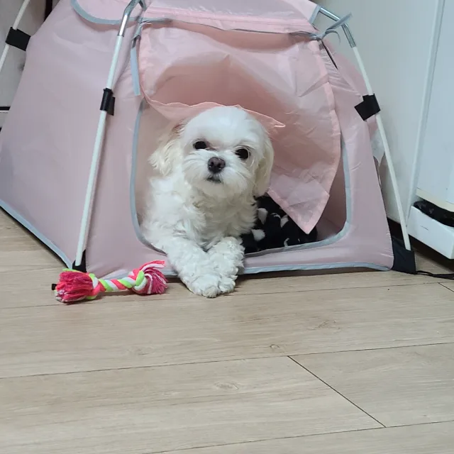아리맘