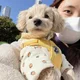 까모누나
