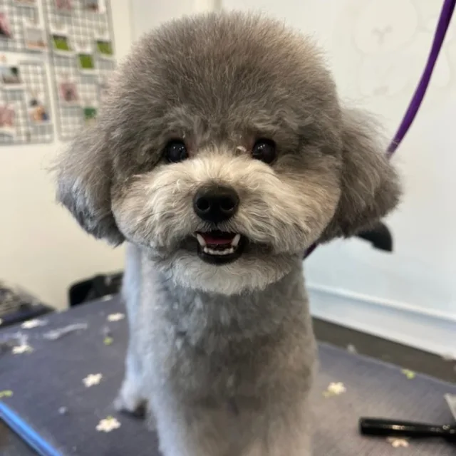 히켄