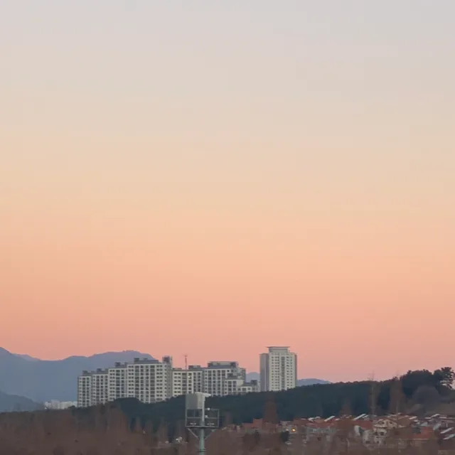 뇽뇽