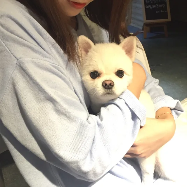 ming